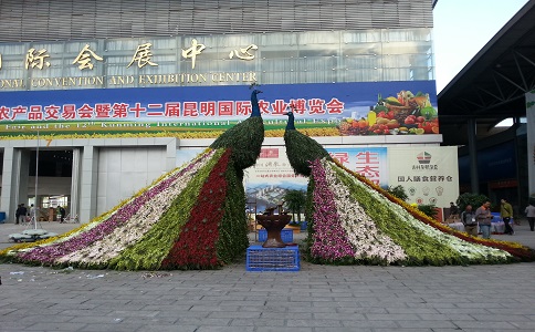 第十四界國(guó)際農(nóng)博昆明市花籃